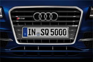 Audi SQ5 TDI 2013 года  (WW)